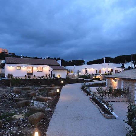Montegusto Bed & Breakfast Castel Del Monte  Dış mekan fotoğraf
